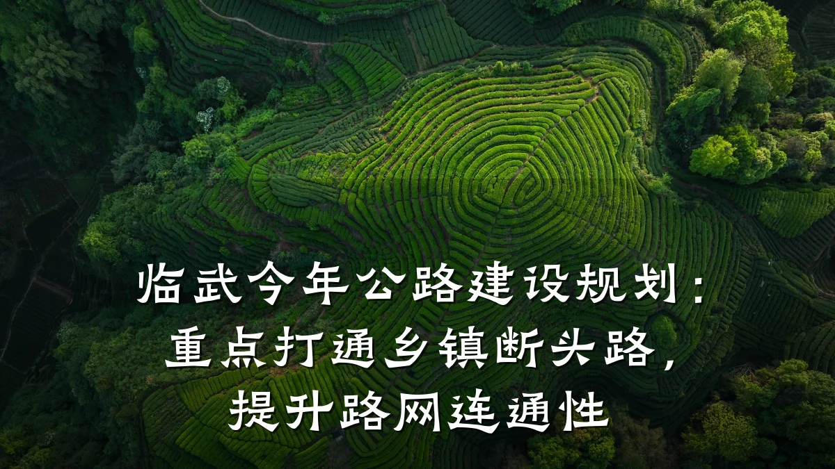 临武今年公路建设规划：重点打通乡镇断头路，提升路网连通性