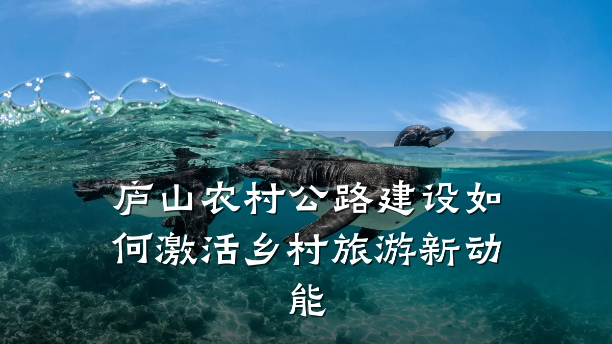 庐山农村公路建设如何激活乡村旅游新动能