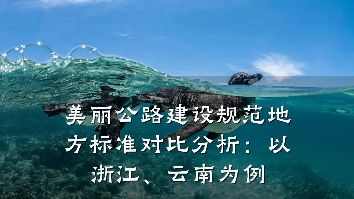 美丽公路建设规范地方标准对比分析:以浙江、云南为例
