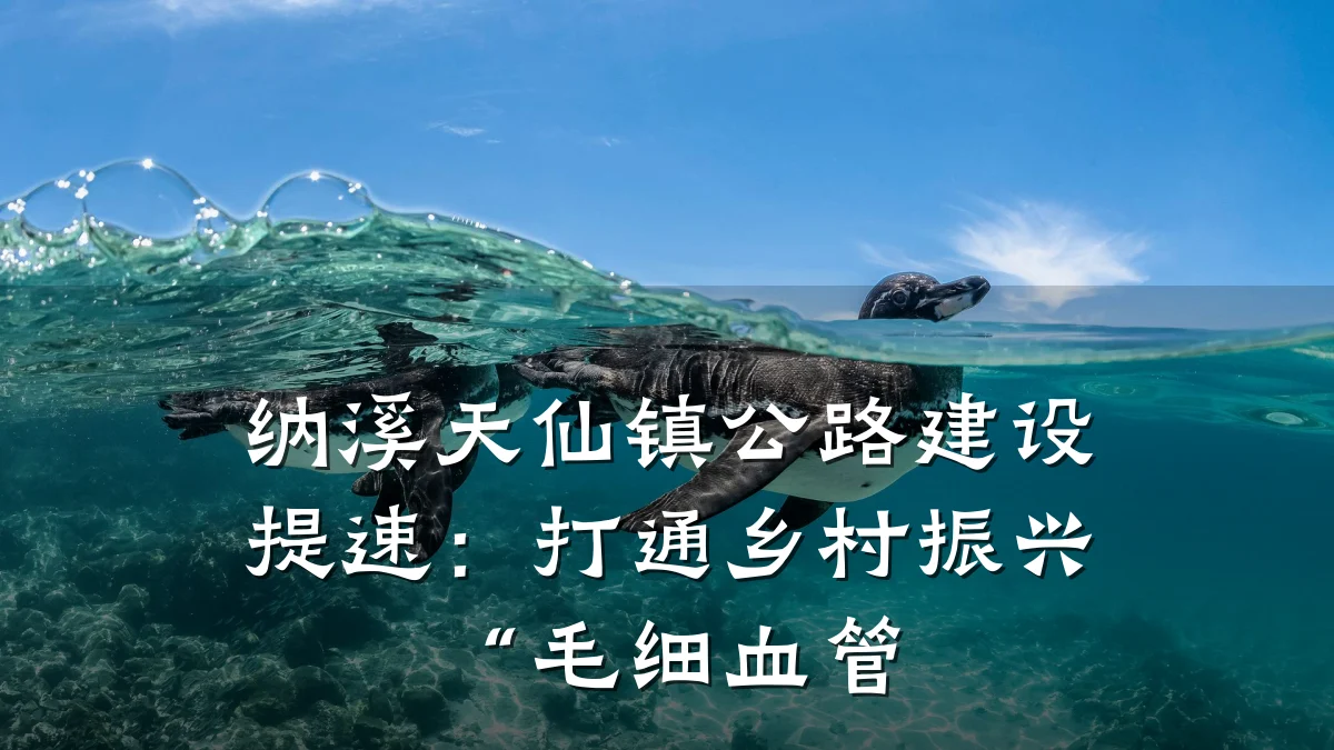 纳溪天仙镇公路建设提速:打通乡村振兴“毛细血管