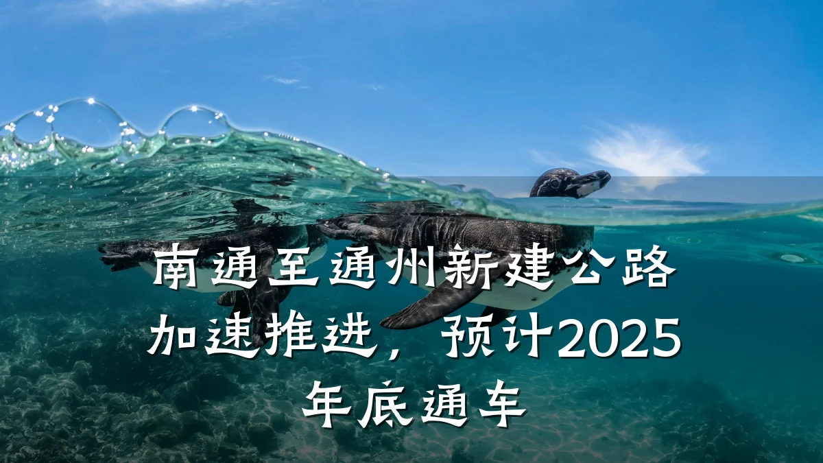 南通至通州新建公路加速推进,预计2025年底通车