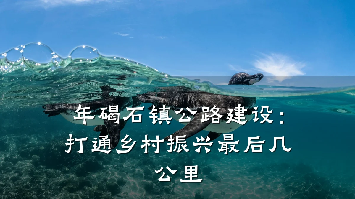 年碣石镇公路建设：打通乡村振兴最后几公里