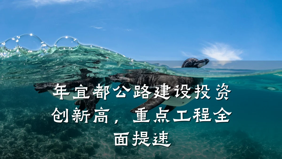 年宜都公路建设投资创新高,重点工程全面提速