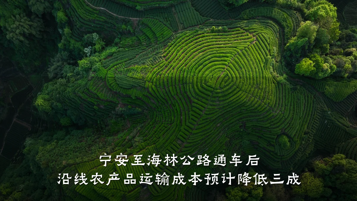 宁安至海林公路通车后 沿线农产品运输成本预计降低三成