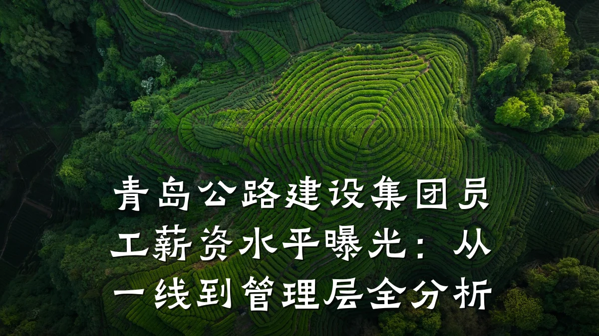 青岛公路建设集团员工薪资水平曝光：从一线到管理层全分析