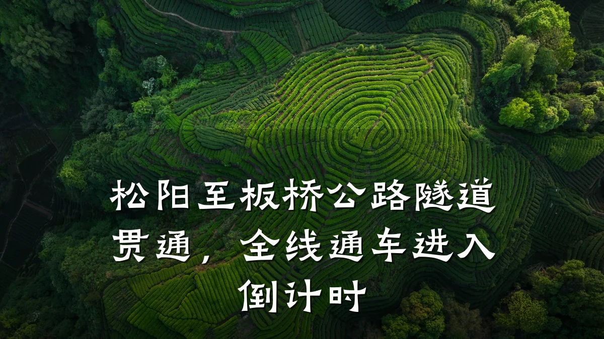 松阳至板桥公路隧道贯通,全线通车进入倒计时