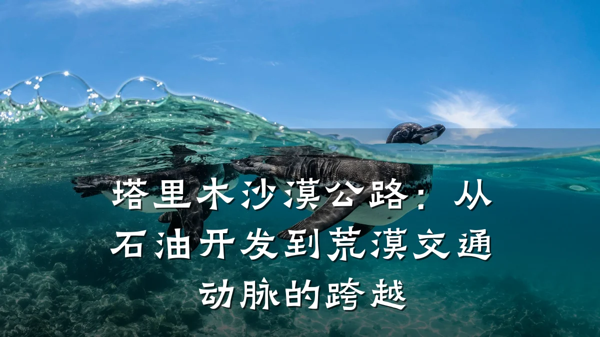 塔里木沙漠公路:从石油开发到荒漠交通动脉的跨越