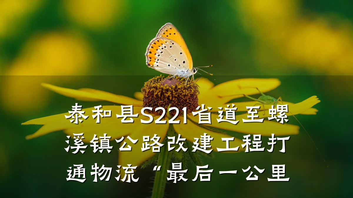 泰和县S221省道至螺溪镇公路改建工程打通物流“最后一公里
