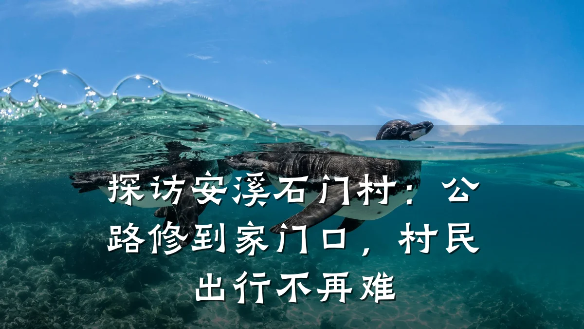 探访安溪石门村:公路修到家门口,村民出行不再难