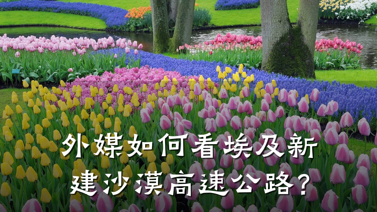外媒如何看埃及新建沙漠高速公路?