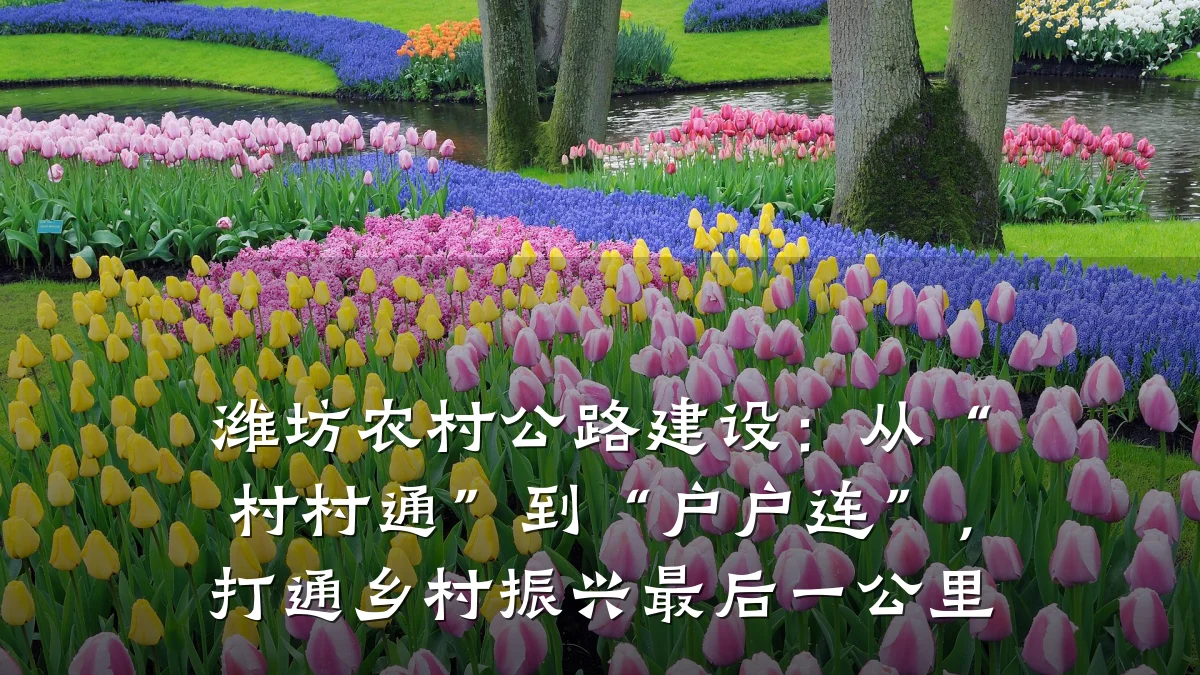 潍坊农村公路建设:从“村村通”到“户户连”,打通乡村振兴最后一公里