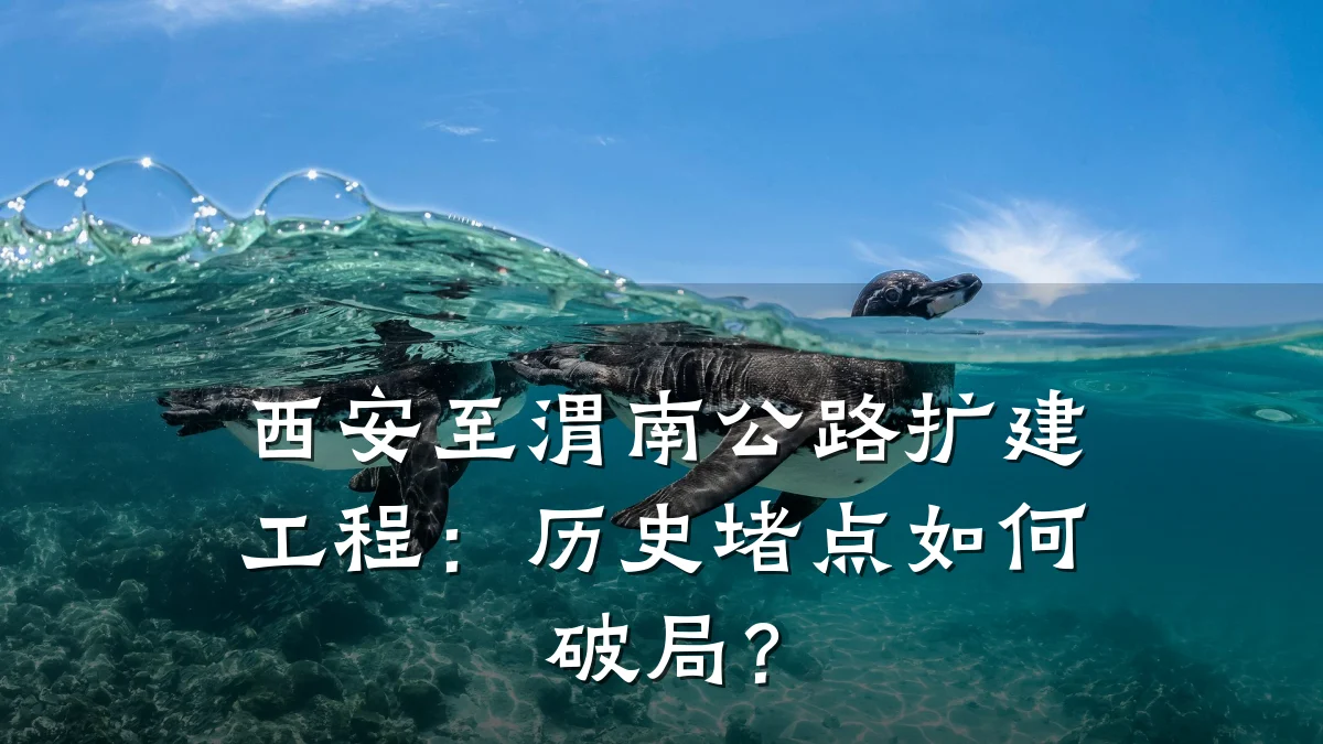 西安至渭南公路扩建工程:历史堵点如何破局?