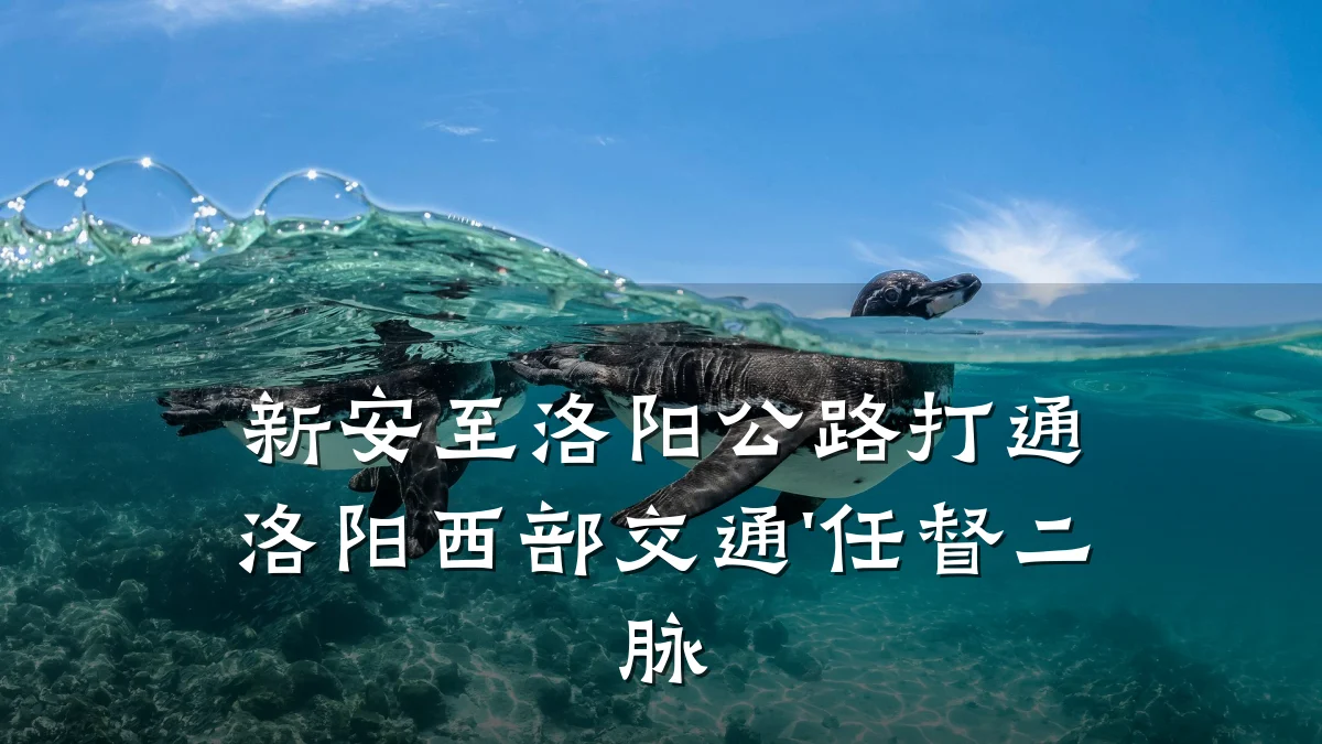 新安至洛阳公路打通洛阳西部交通'任督二脉