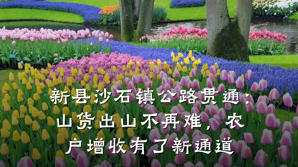 新县沙石镇公路贯通:山货出山不再难,农户增收有了新通道