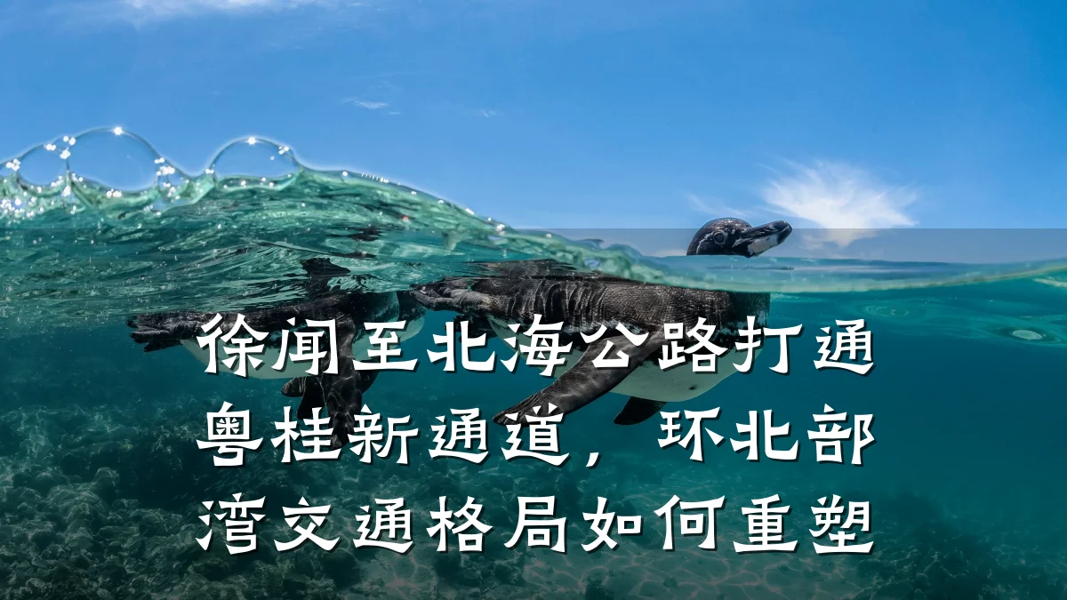 徐闻至北海公路打通粤桂新通道，环北部湾交通格局如何重塑