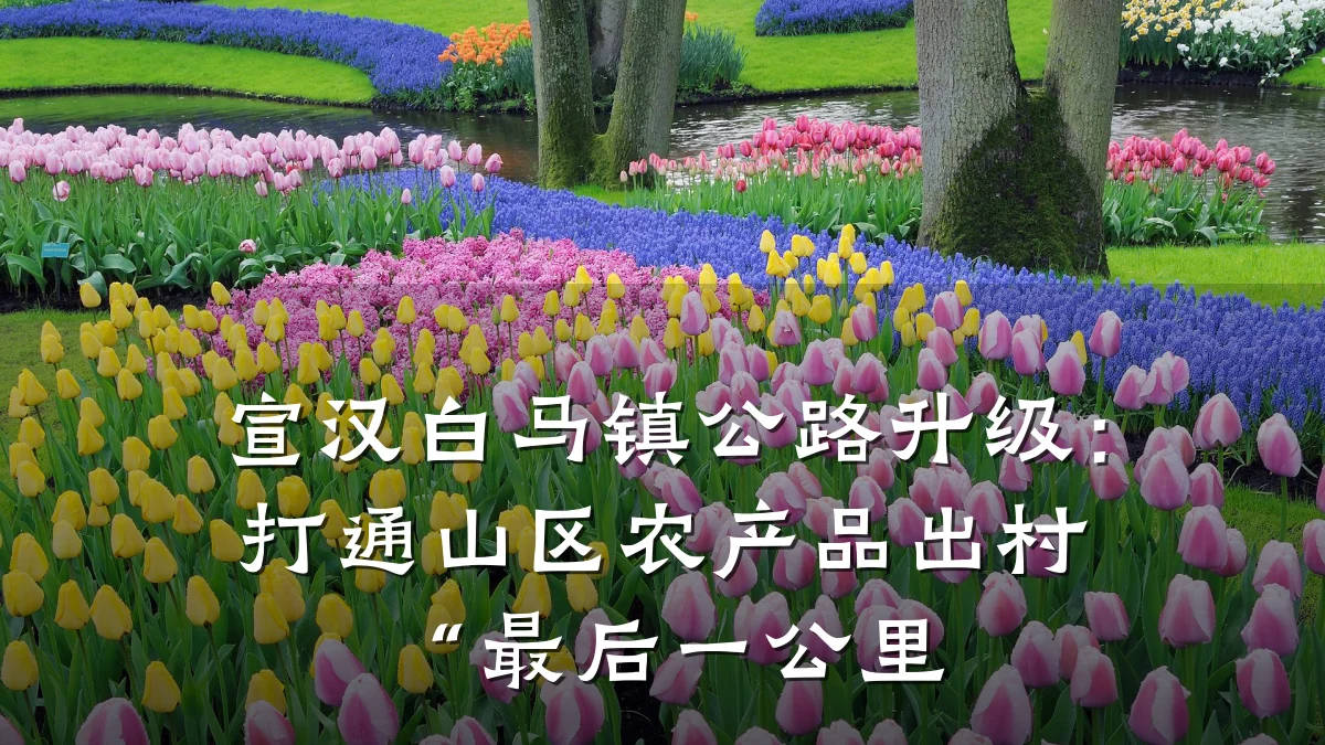 宣汉白马镇公路升级:打通山区农产品出村“最后一公里