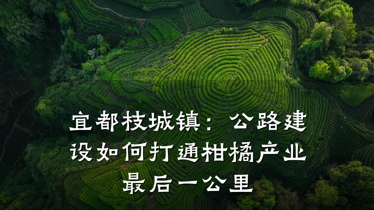 宜都枝城镇:公路建设如何打通柑橘产业最后一公里