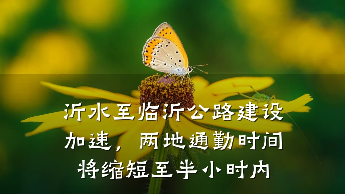 沂水至临沂公路建设加速，两地通勤时间将缩短至半小时内