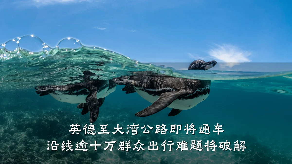 英德至大湾公路即将通车 沿线逾十万群众出行难题将破解