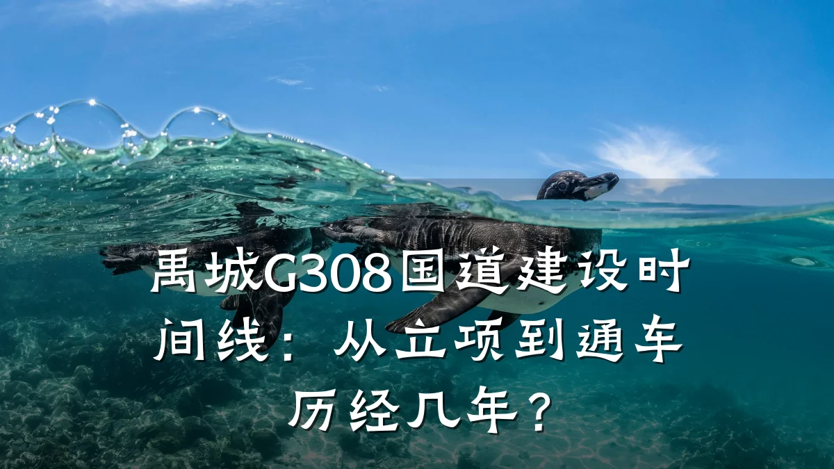禹城G308国道建设时间线：从立项到通车历经几年？