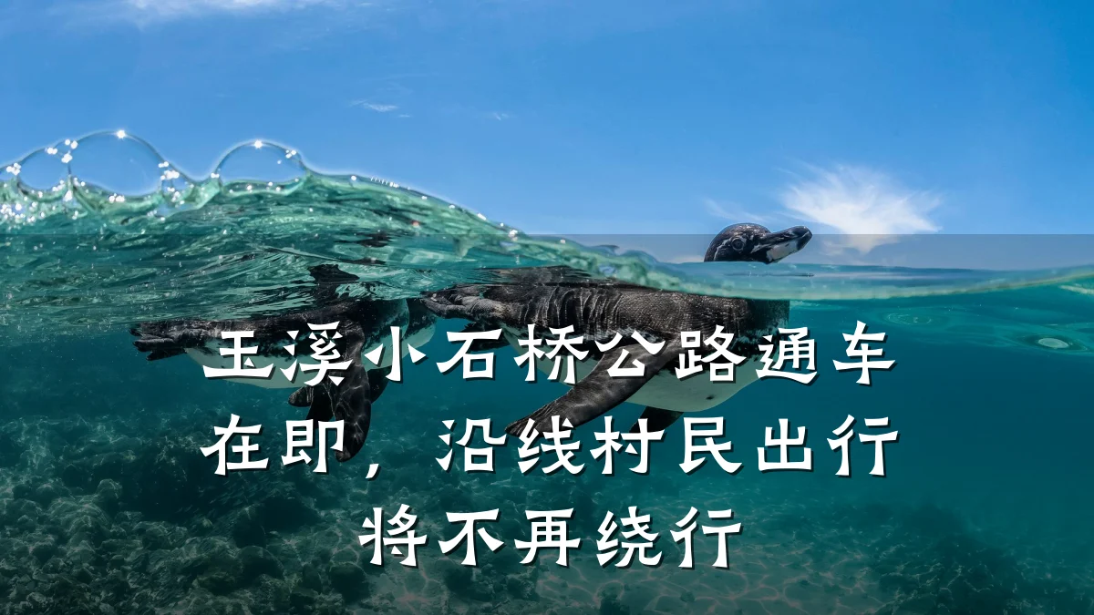 玉溪小石桥公路通车在即,沿线村民出行将不再绕行