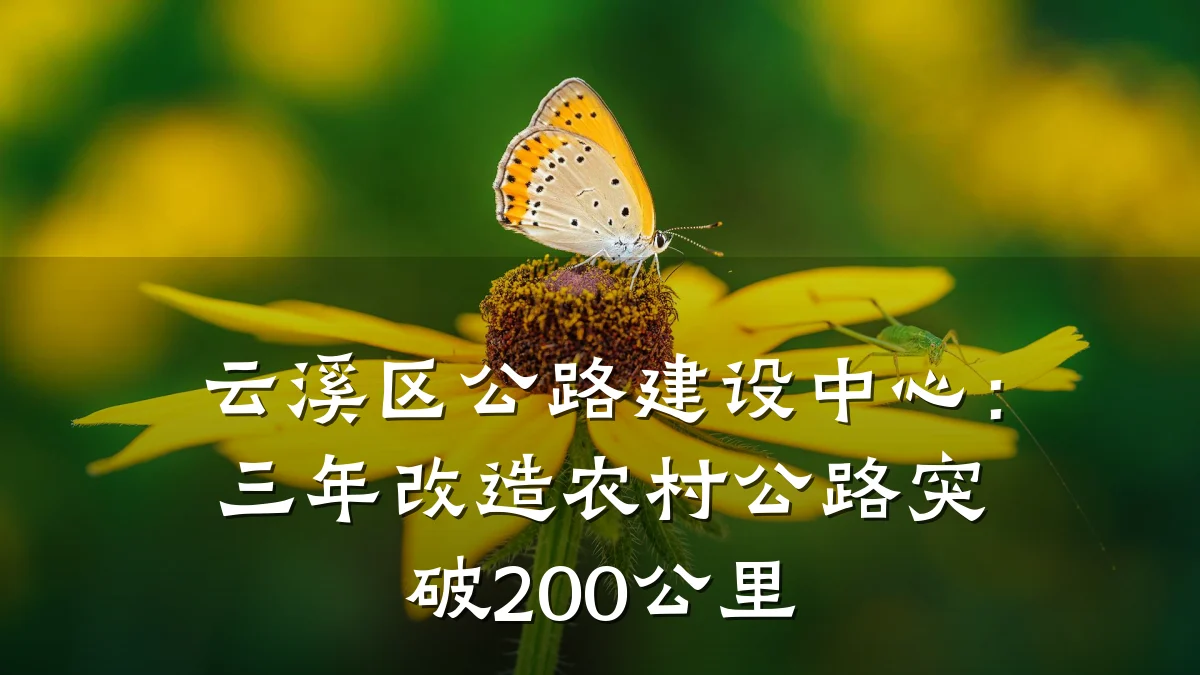 云溪区公路建设中心:三年改造农村公路突破200公里