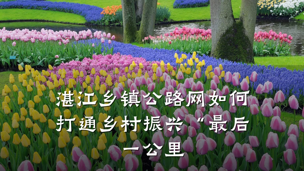 湛江乡镇公路网如何打通乡村振兴“最后一公里