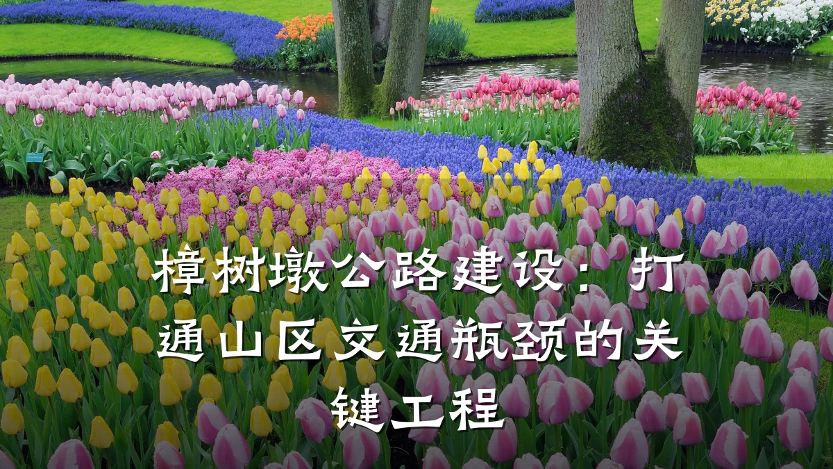 樟树墩公路建设：打通山区交通瓶颈的关键工程