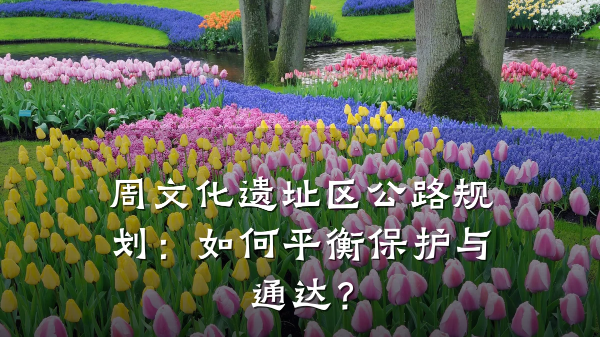 周文化遗址区公路规划:如何平衡保护与通达?