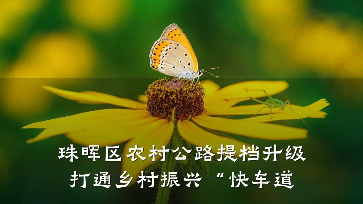 珠晖区农村公路提档升级 打通乡村振兴“快车道