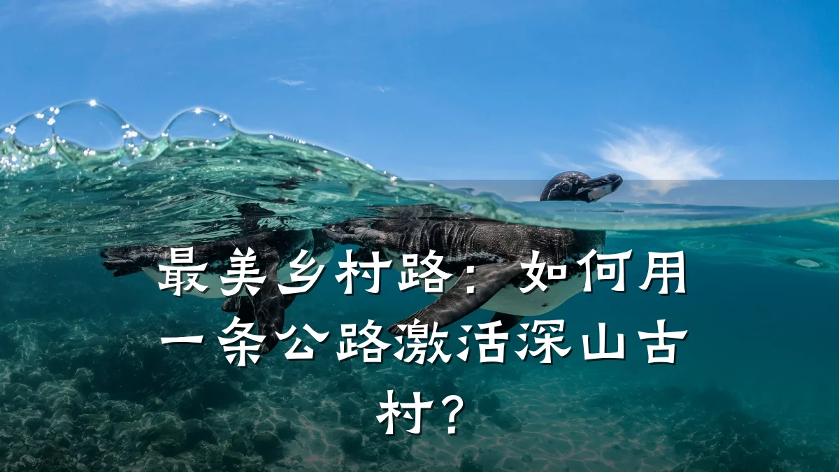最美乡村路:如何用一条公路激活深山古村?