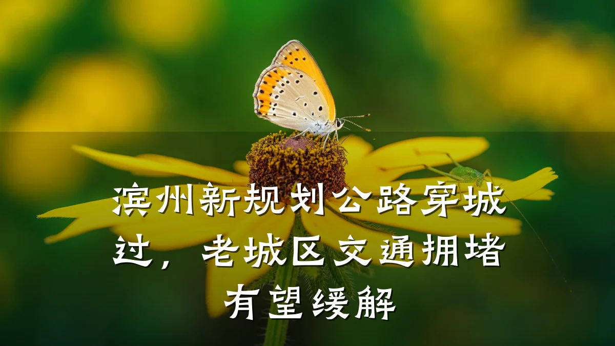 滨州新规划公路穿城过,老城区交通拥堵有望缓解