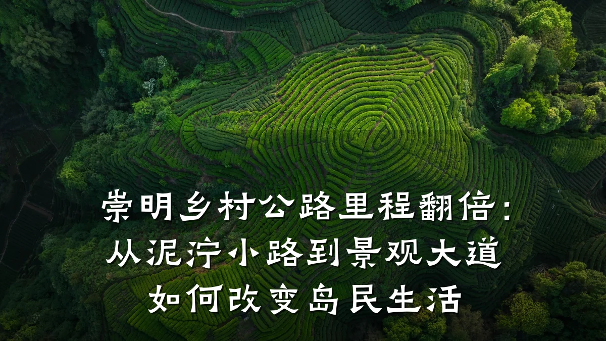 崇明乡村公路里程翻倍:从泥泞小路到景观大道如何改变岛民生活