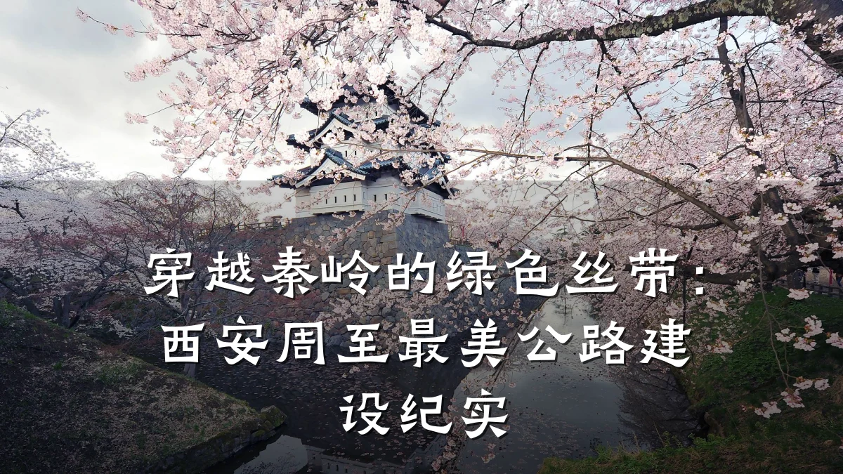 穿越秦岭的绿色丝带:西安周至最美公路建设纪实