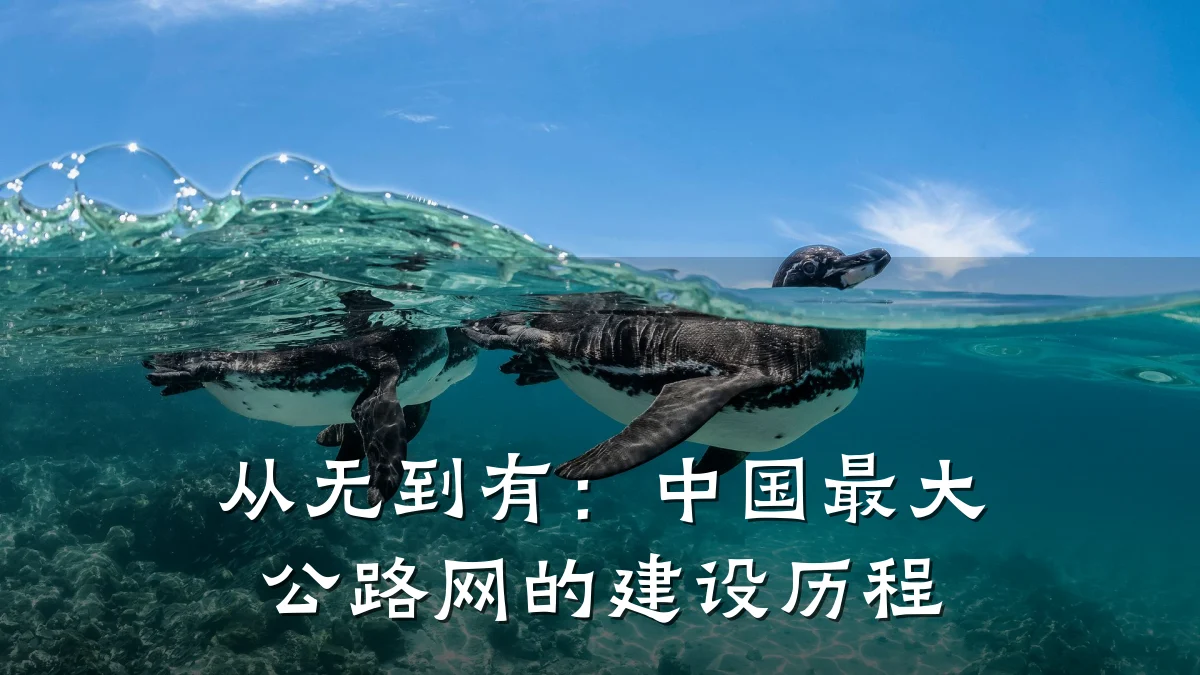 从无到有:中国最大公路网的建设历程