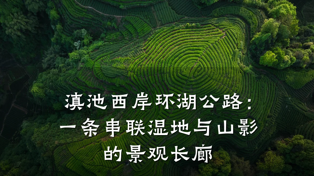 滇池西岸环湖公路:一条串联湿地与山影的景观长廊