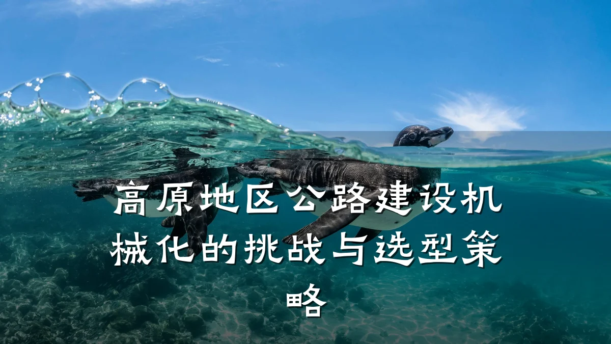 高原地区公路建设机械化的挑战与选型策略