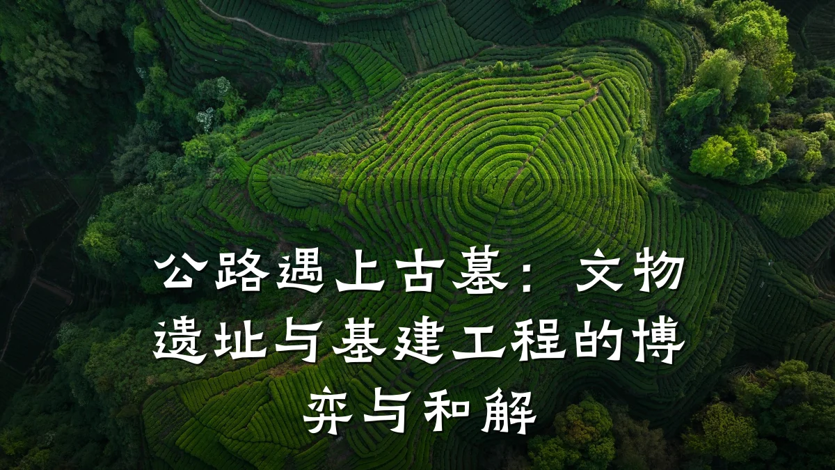公路遇上古墓：文物遗址与基建工程的博弈与和解