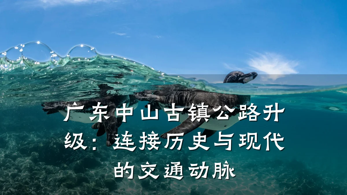 广东中山古镇公路升级:连接历史与现代的交通动脉