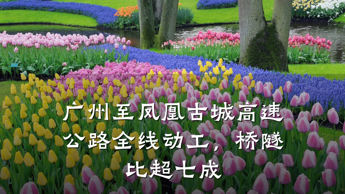 广州至凤凰古城高速公路全线动工,桥隧比超七成