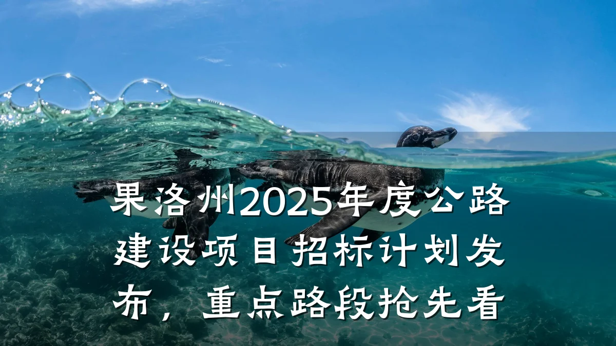 果洛州2025年度公路建设项目招标计划发布，重点路段抢先看