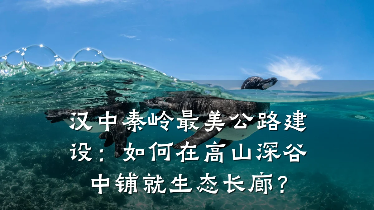 汉中秦岭最美公路建设:如何在高山深谷中铺就生态长廊?