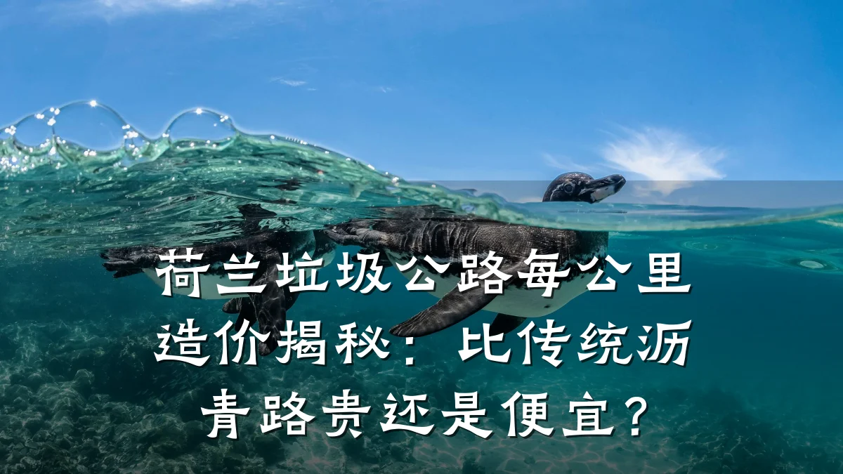 荷兰垃圾公路每公里造价揭秘:比传统沥青路贵还是便宜?