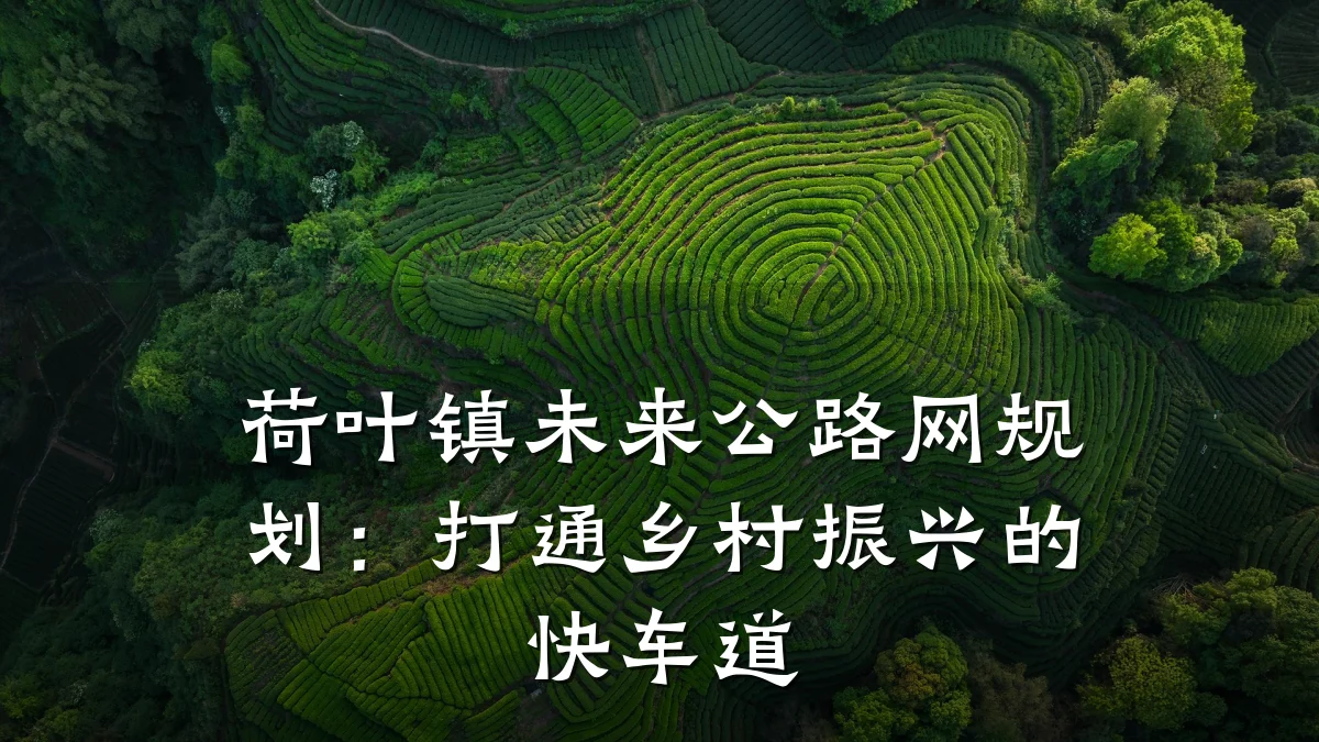 荷叶镇未来公路网规划：打通乡村振兴的快车道