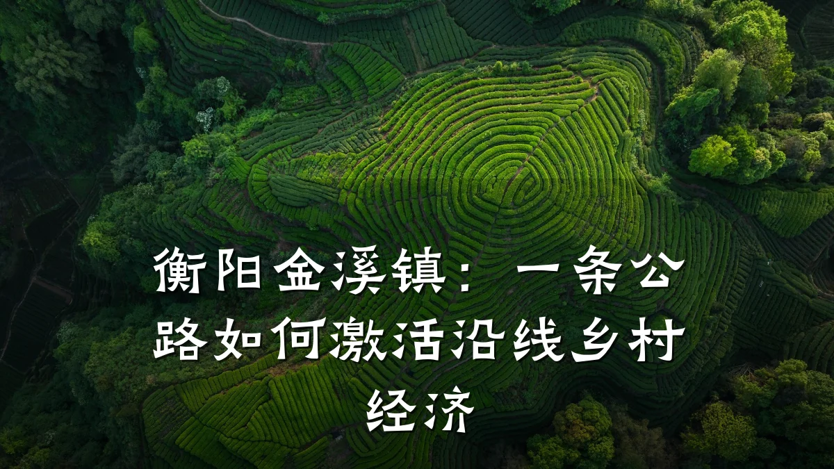 衡阳金溪镇:一条公路如何激活沿线乡村经济