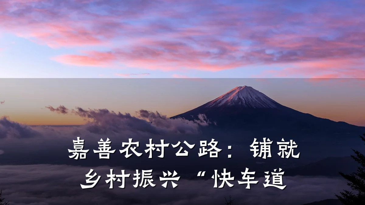 嘉善农村公路:铺就乡村振兴“快车道
