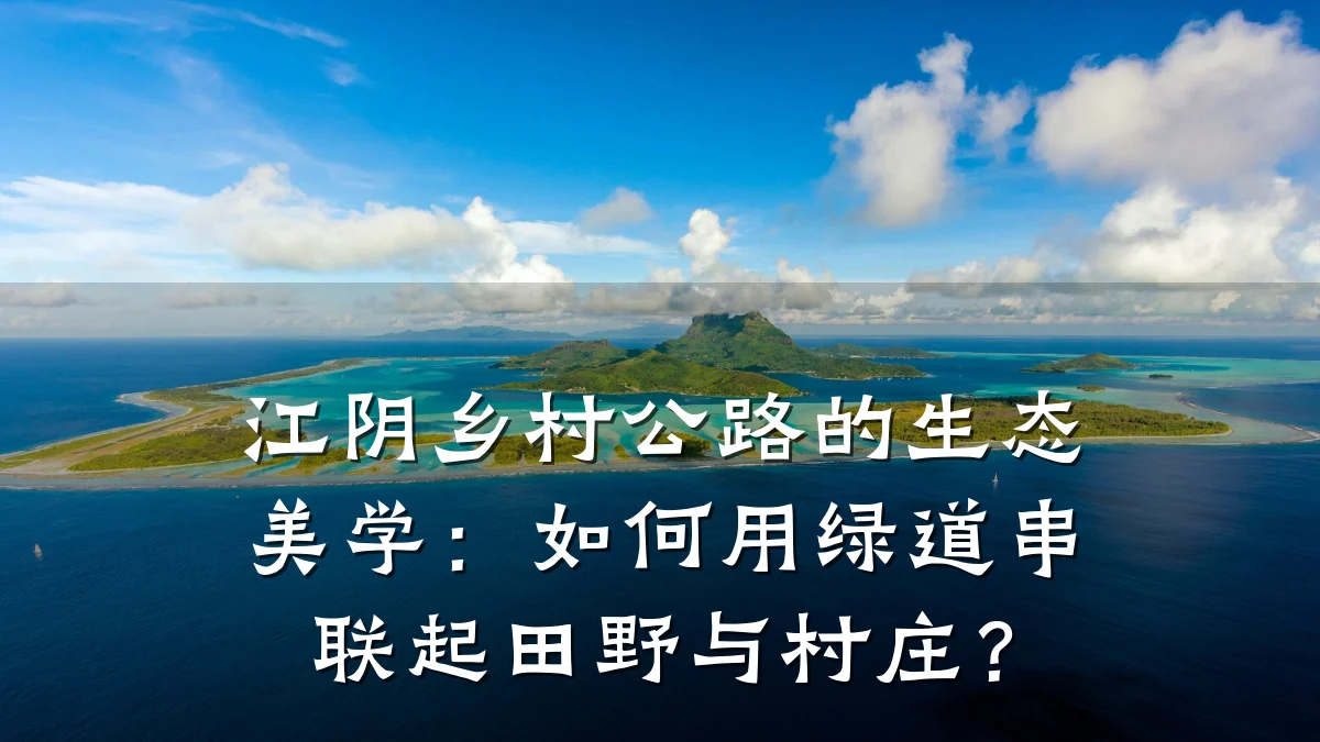 江阴乡村公路的生态美学：如何用绿道串联起田野与村庄？
