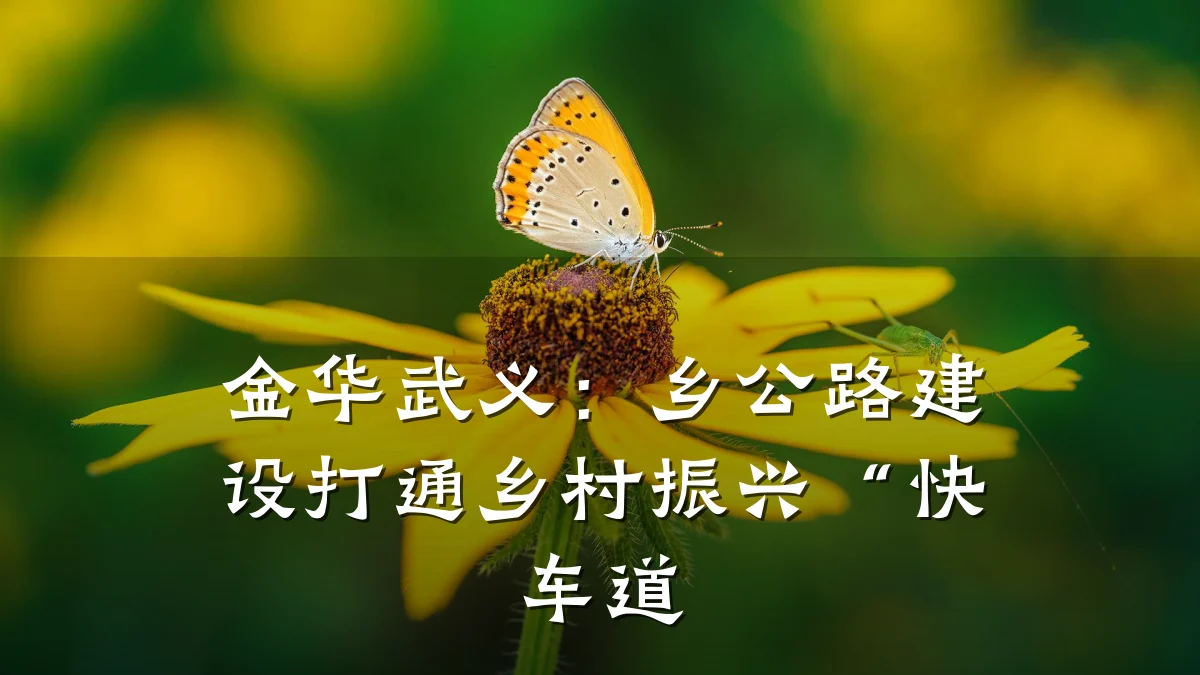 金华武义:乡公路建设打通乡村振兴“快车道