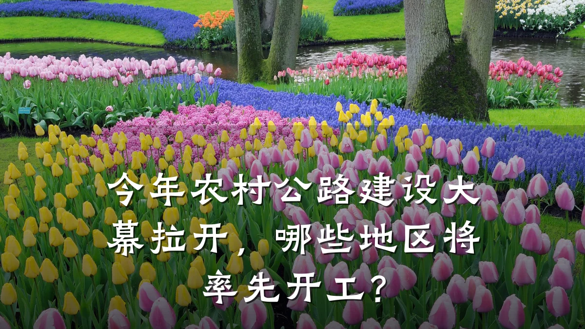 今年农村公路建设大幕拉开，哪些地区将率先开工？