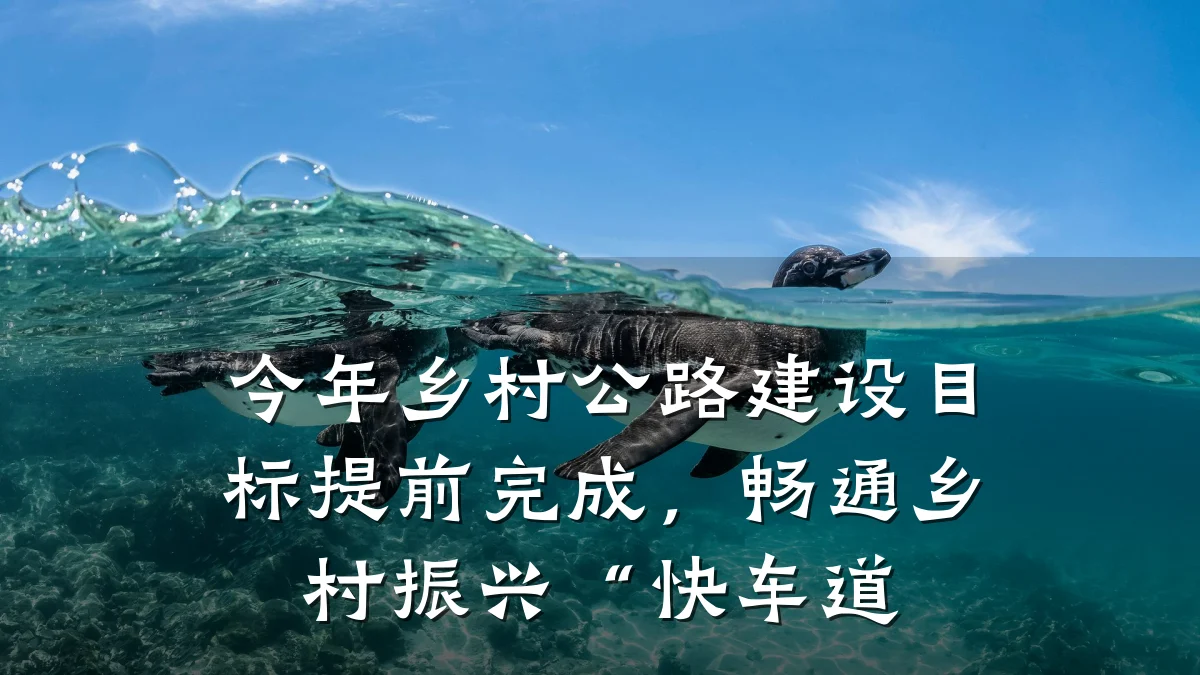 今年乡村公路建设目标提前完成,畅通乡村振兴“快车道